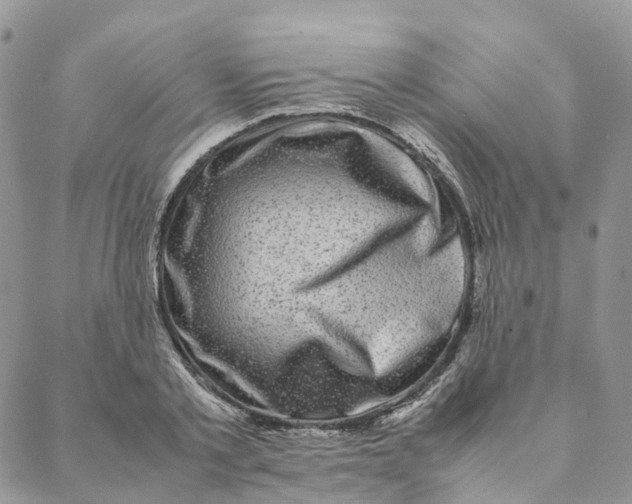 X0000088360789200706121054