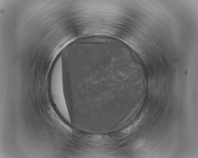 X0000088360790200706121054