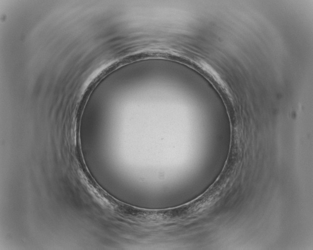 X0000088360791200706121054