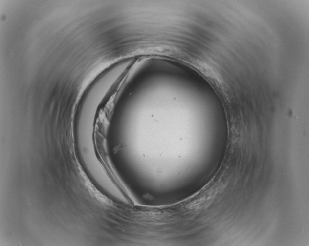 X0000088360792200706121054