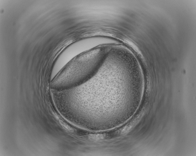 X0000088360793200706121054