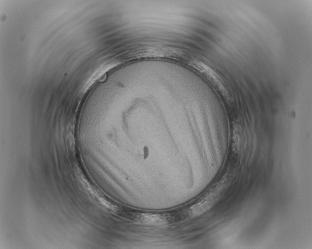 X0000088360794200706121054