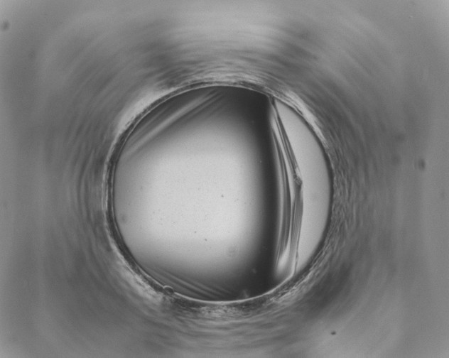 X0000088360795200706121054