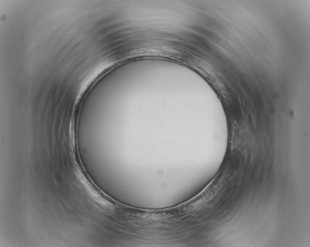 X0000088360796200706121054