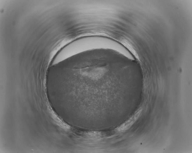 X0000088360797200706121054