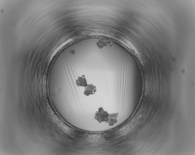 X0000088360798200706121054