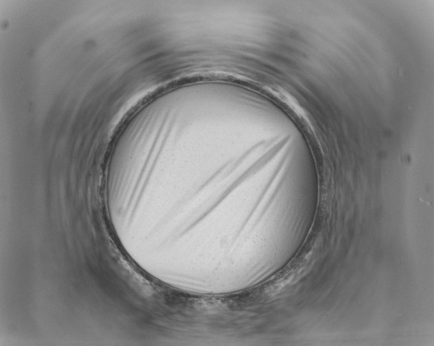 X0000088360799200706121054