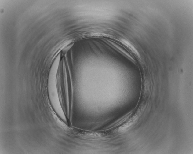 X0000088360801200706121054