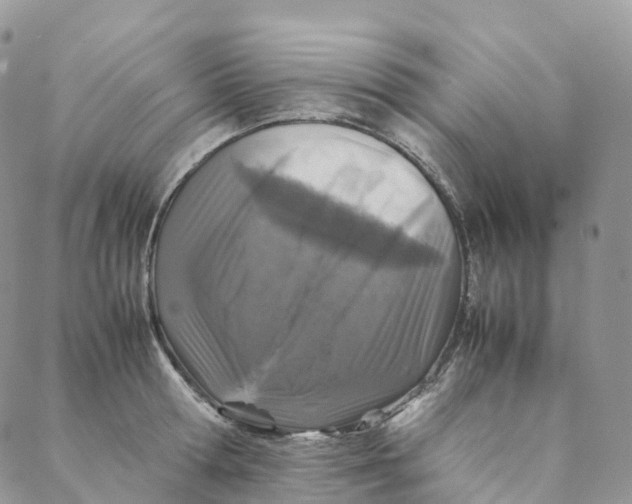 X0000088360802200706121054