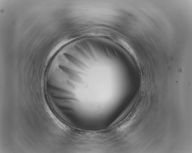 X0000088360803200706121054