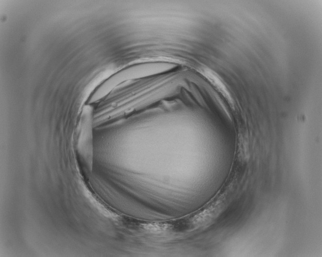 X0000088360805200706121054