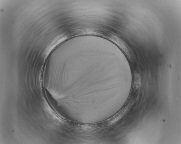 X0000088360806200706121053