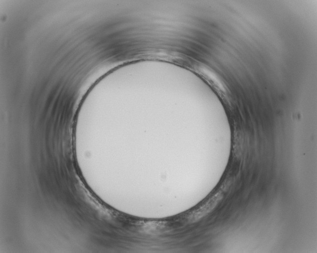 X0000088360808200706121053