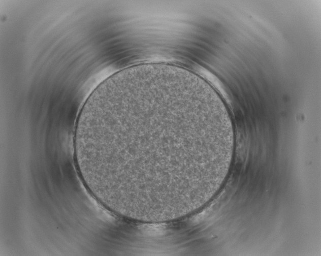 X0000088360810200706121053