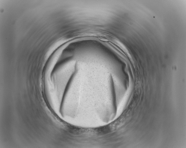 X0000088360811200706121053