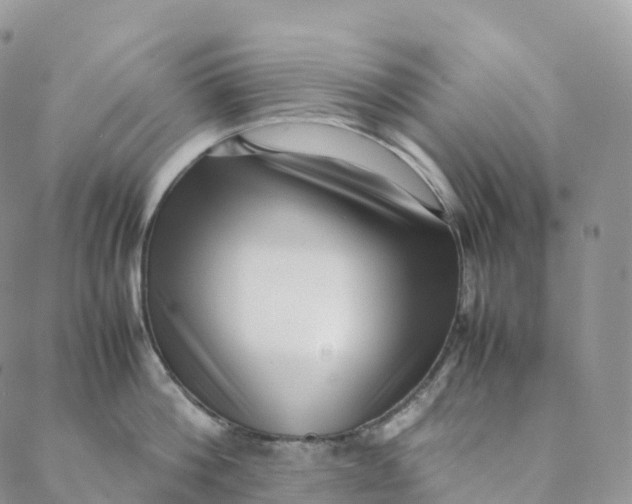 X0000088360812200706121053