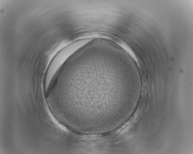 X0000088360813200706121053