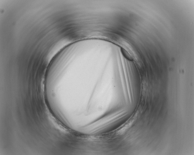 X0000088360814200706121053