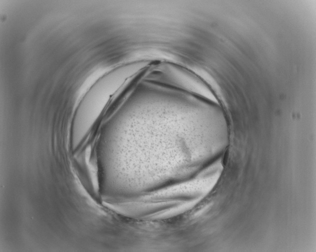 X0000088360815200706121053