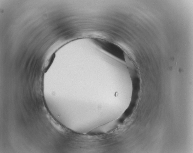 X0000088360816200706121053