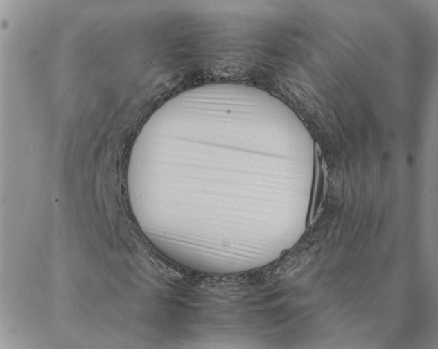 X0000088360817200706121053