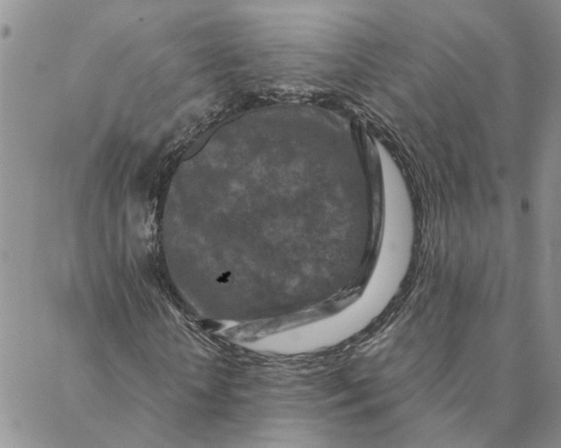 X0000088360818200706121053