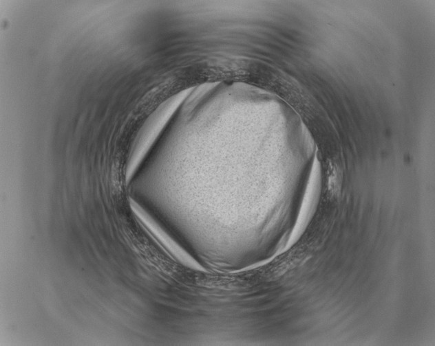 X0000088360819200706121053