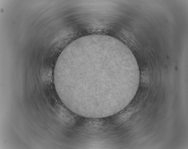 X0000088360820200706121053