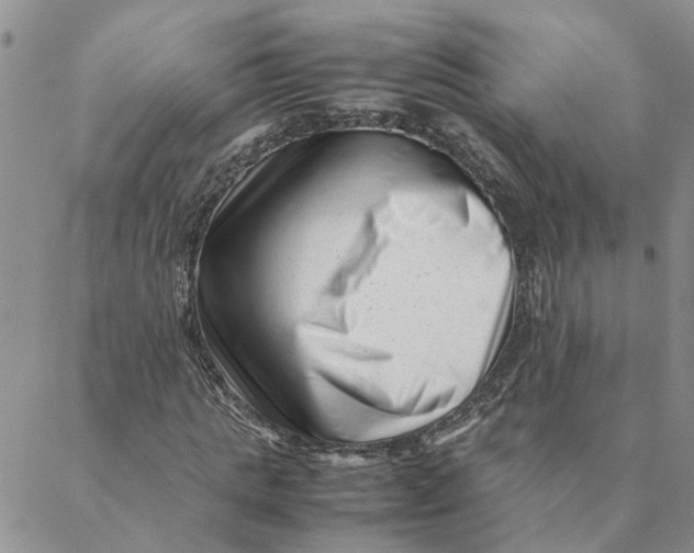 X0000088360821200706121053