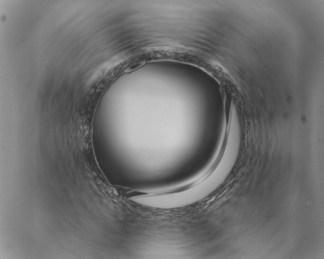 X0000088360822200706121053