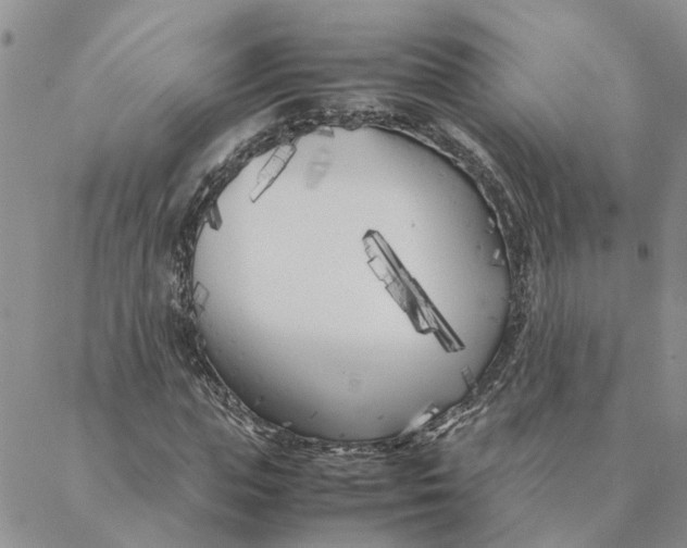 X0000088360823200706121053