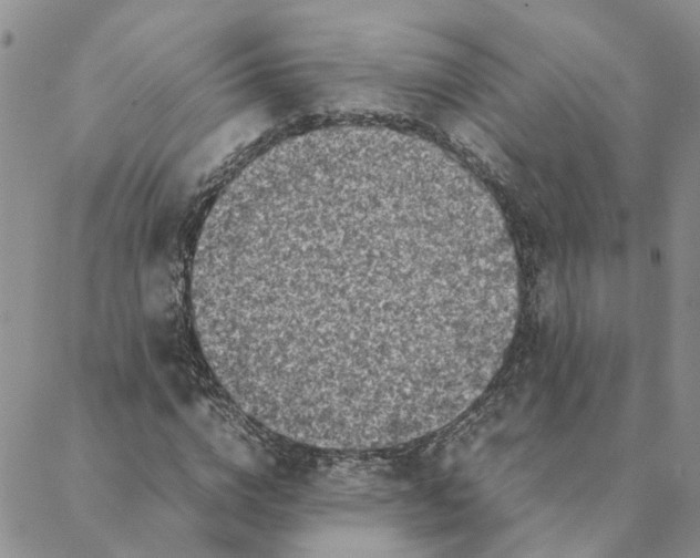 X0000088360824200706121053