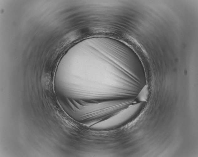 X0000088360825200706121053