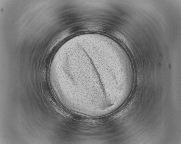 X0000088360827200706121053