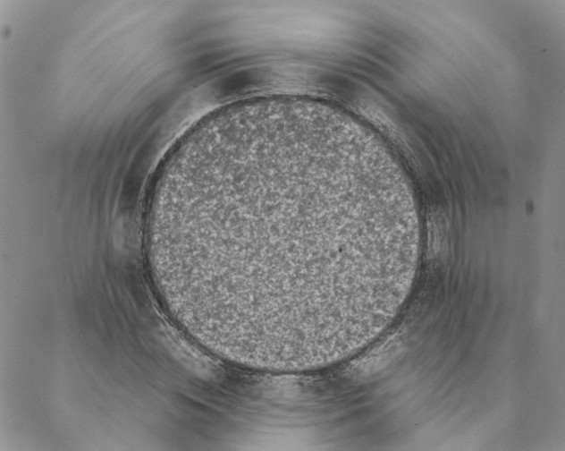 X0000088360828200706121053