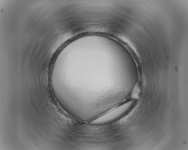 X0000088360829200706121053