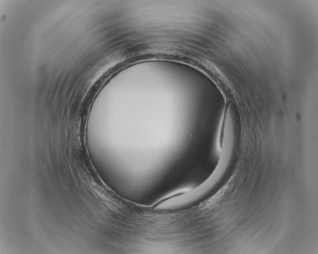 X0000088360830200706121053