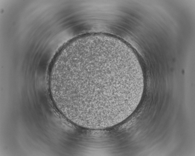 X0000088360832200706121053