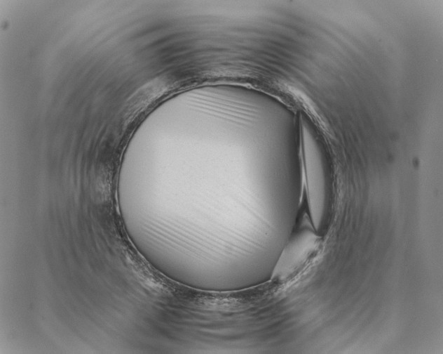 X0000088360833200706121053