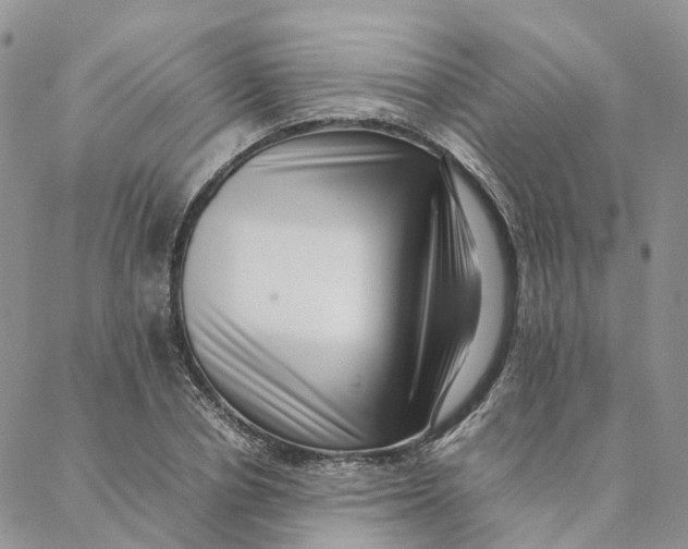 X0000088360834200706121053