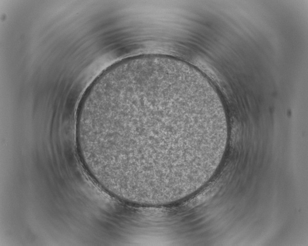 X0000088360836200706121053