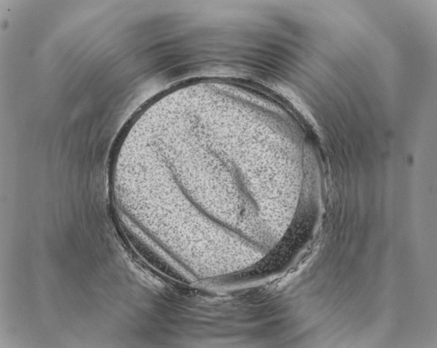 X0000088360837200706121053