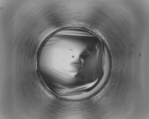 X0000088360838200706121053