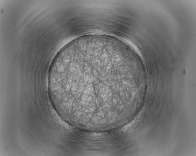 X0000088360839200706121053