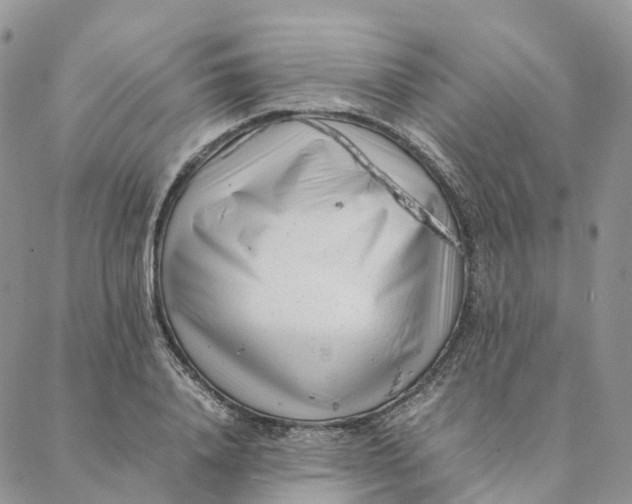 X0000088360840200706121053