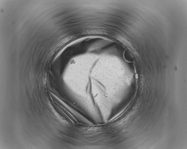 X0000088360841200706121053