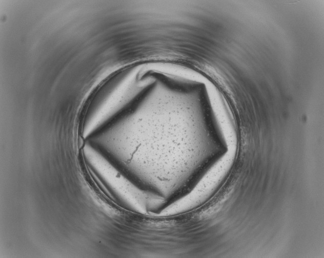 X0000088360843200706121053