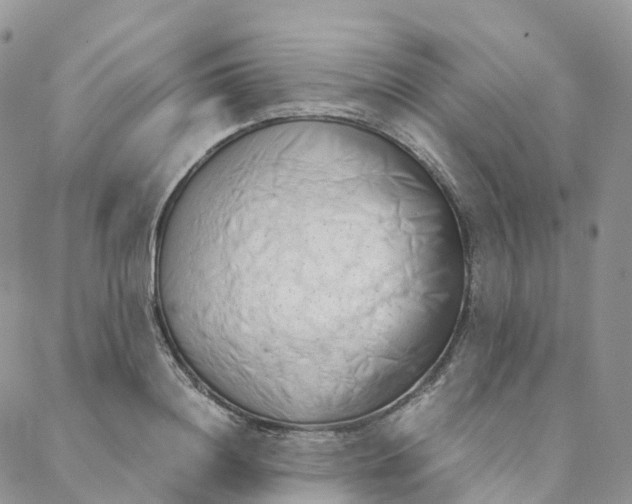 X0000088360844200706121053