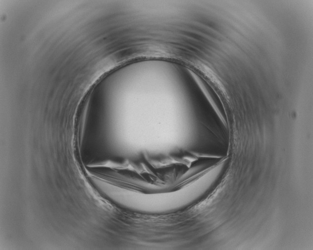 X0000088360845200706121053