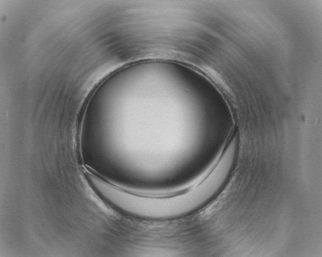 X0000088360846200706121053